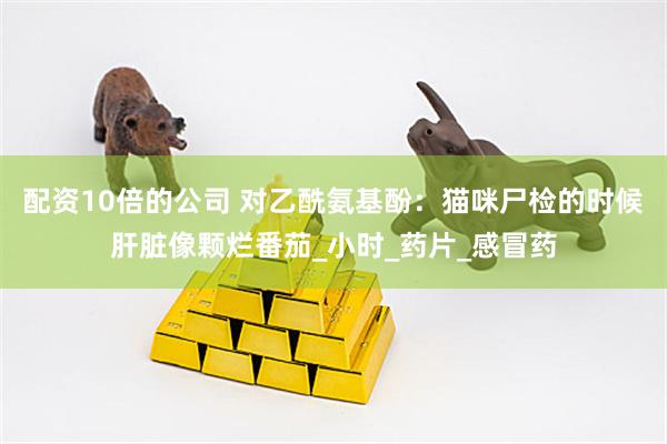 配资10倍的公司 对乙酰氨基酚：猫咪尸检的时候肝脏像颗烂番茄_小时_药片_感冒药