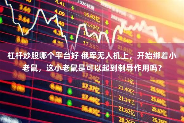 杠杆炒股哪个平台好 俄军无人机上，开始绑着小老鼠，这小老鼠是可以起到制导作用吗？