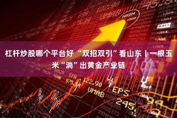 杠杆炒股哪个平台好 “双招双引”看山东丨一根玉米“淌”出黄金产业链