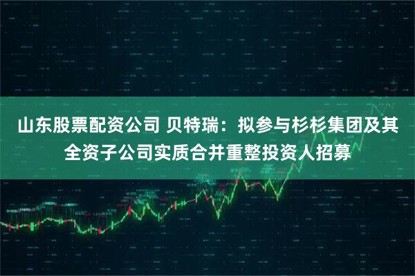山东股票配资公司 贝特瑞：拟参与杉杉集团及其全资子公司实质合并重整投资人招募