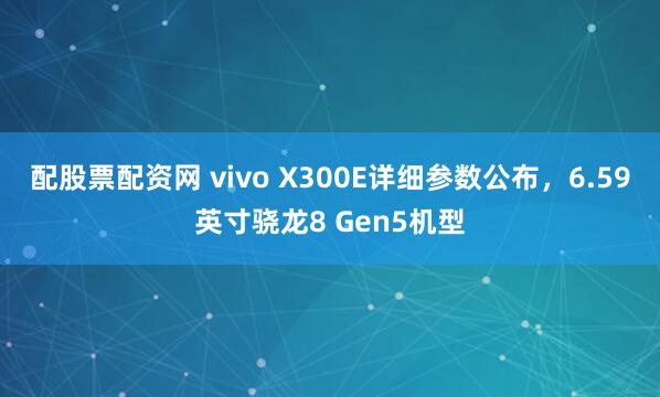 配股票配资网 vivo X300E详细参数公布，6.59英寸骁龙8 Gen5机型